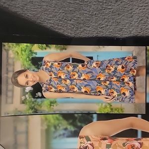 New summer dress or morning dress with pockets and zipper